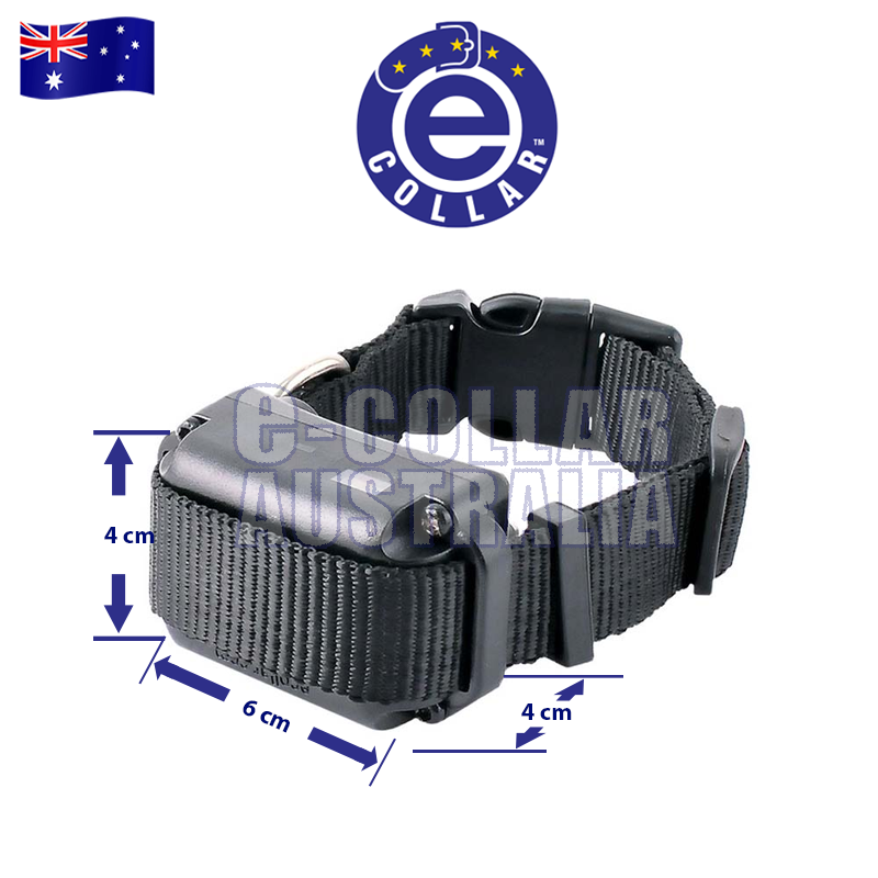 Bp 504 barkless pro deals