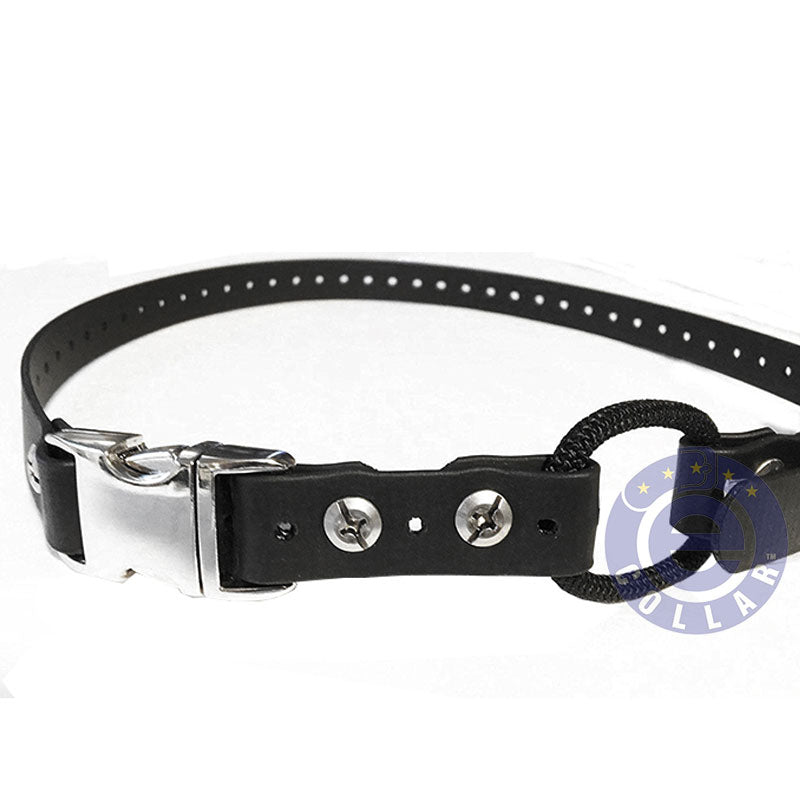Educator Remote Quick Release Bungee Strap Collar 3/4
