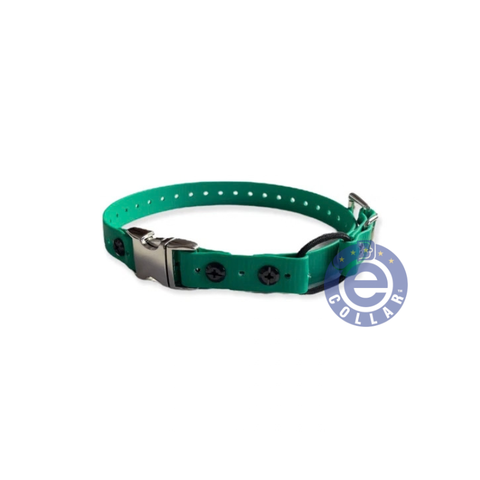 Educator Remote Quick Release Mini Bungee Strap Collar - 3/4" For Small Dogs