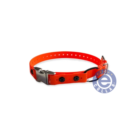 Educator Remote Quick Release Mini Bungee Strap Collar - 3/4" For Small Dogs