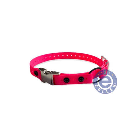 Educator Remote Quick Release Mini Bungee Strap Collar - 3/4" For Small Dogs