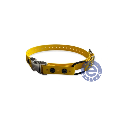 Educator Remote Quick Release Mini Bungee Strap Collar - 3/4" For Small Dogs
