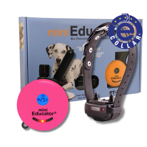 ET-300 Mini Educator Dog Training Collar Pink Lady