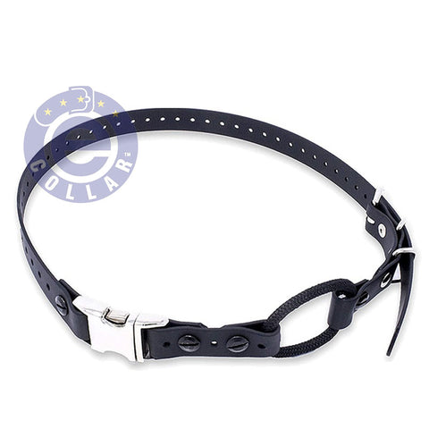 Educator Remote Quick Release Bungee Strap Collar - 3/4