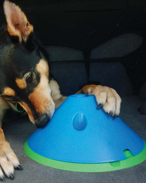 DOY - Strategic Puzzle Dog Toy