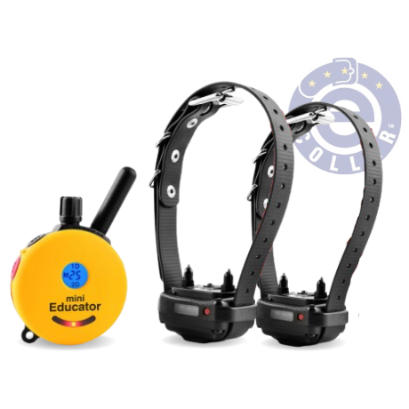 2 Dog Kit for ET-300 Mini Educator Remote Dog Trainer
